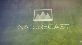 Tipy na aplikace pro Chromecast #8 – Nature Cast aneb krb či příroda z televize