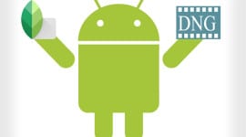 Google Fotky si půjčí funkce ze Snapseedu