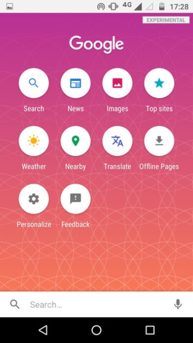 Google Lite Search