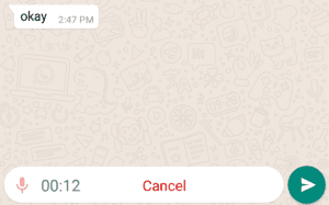 WhatsApp přidává užitečnou funkci na posílání hlasových vzkazů