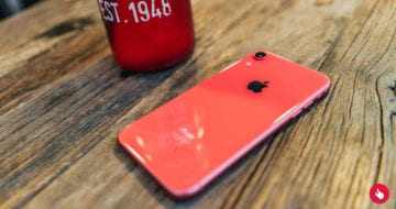 To nej z uplynulého týdne #52 – Nova, Twitter, ToTok, Vánoce