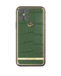V 12 Green leather catalog 257x316x