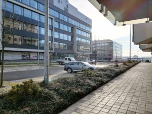 IMG 20201229 100440 4000x3000x