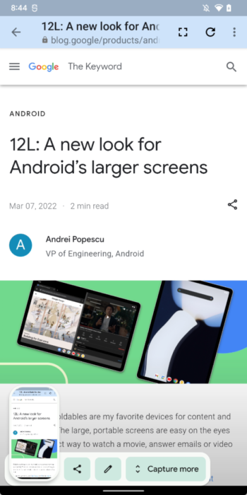 Screenshot options in Android 12L 585x1170x