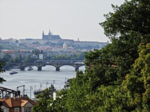 IMG 20230622 175518 4096x3072x