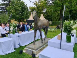 IMG 20240612 152154 4096x3072x