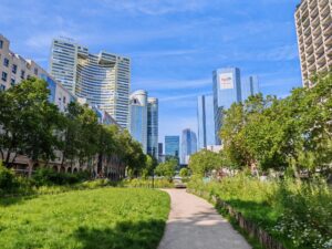 IMG 20240613 095005 4096x3072x