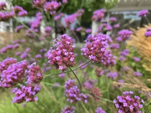 20240720 111206 4000x3000x