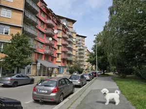 20240720 112230 4000x3000x