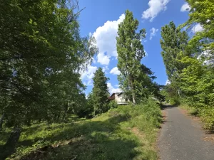 20240721 144934 4000x3000x