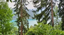 IMG 20240712 145239 1 4096x3072x