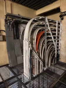 IMG 20241121 132514 3072x4096x