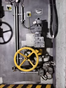 IMG 20241121 135421 3072x4096x