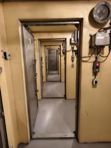 IMG 20241121 144254 3072x4096x