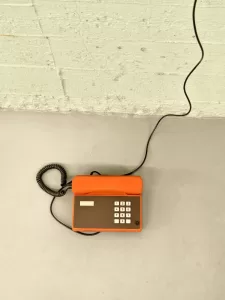 photo 2025 01 19 21 22 42 960x1280x