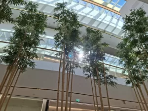 20250322 103130 4000x3000x