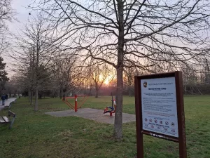 20250324 062148 4000x3000x