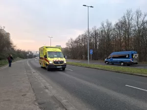 20250324 062456 4000x3000x