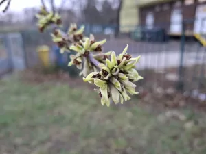 20250324 063846 4000x3000x