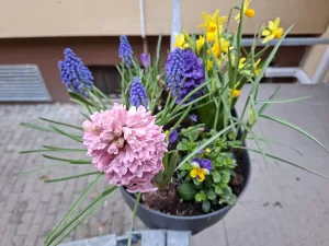 20250324 064146 4000x3000x