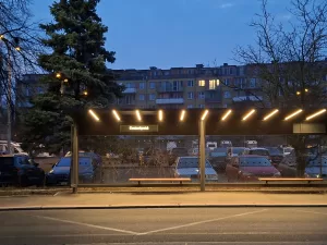 20250325 052902 4000x3000x