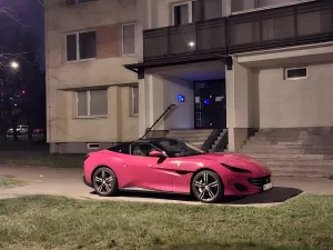 20250326 042432 4000x3000x