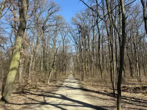 IMG 0099 5712x4284x