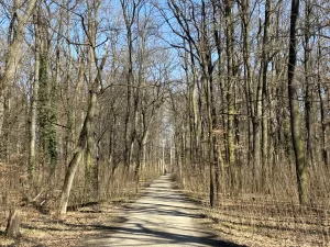 IMG 0100 4032x3024x
