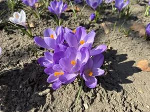 IMG 0188 5712x4284x