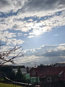 IMG 20250331 172818 3072x4096x
