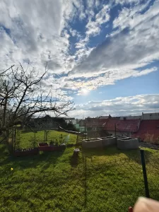 IMG 20250331 172824 3060x4080x