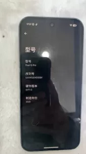 Pixel 10 Pro prototype 7 1 720x1280x