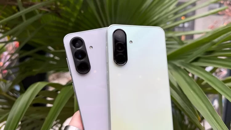 Obsah obrázku palma, venku, Mobilní telefon, rostlina Obsah vygenerovaný umělou inteligencí může být nesprávný.