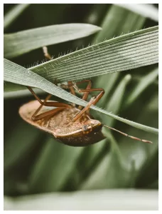 x200pro makes me bring my real cameras so much less v0 t9b8vadcgvre1 2407x3174x