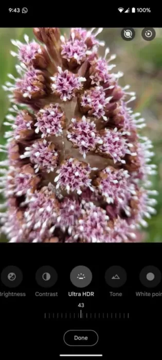 Google Photos Ultra HDR Option 389w 864hjpg 389x864x