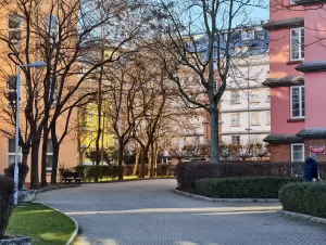 IMG 20250201 101328 4080x3072x