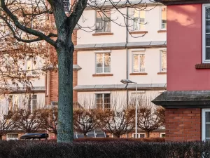 IMG 20250201 101350 4096x3072x