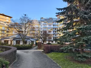 IMG 20250201 102052 4096x3072x