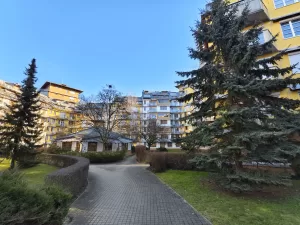 IMG 20250201 102057 4080x3060x