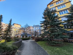 IMG 20250201 102059 4032x3024x