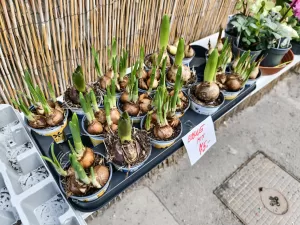 IMG 20250201 145607 4096x3072x