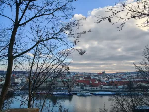 IMG 20250201 150335 1 4096x3072x