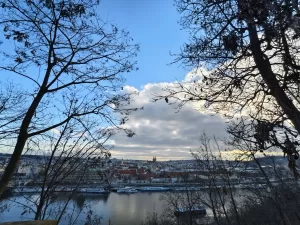 IMG 20250201 150341 1 4080x3060x