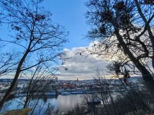 IMG 20250201 150343 4032x3024x