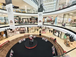 IMG 20250203 121235 4080x3060x