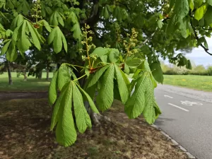 IMG 20250419 144136 4096x3072x