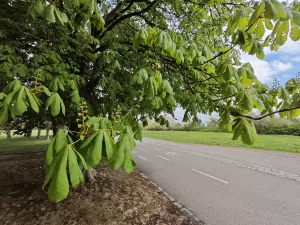 IMG 20250419 144141 3264x2448x