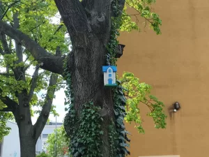 IMG 20250423 142130212 1440x1080x