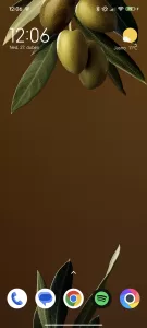 Screenshot 2025 04 27 12 06 04 251 commiandroidgloballauncher 1080x2400x