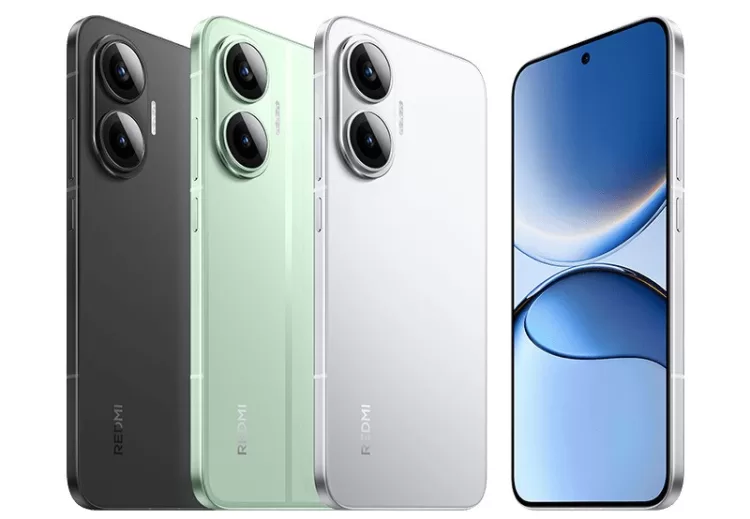 pms 174546684036736682 (1) 800x554x